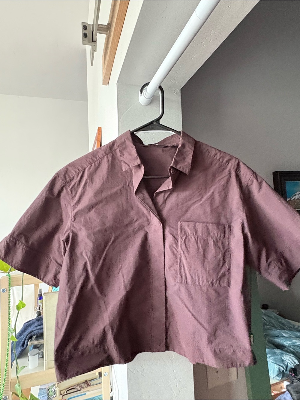 Uniqlo Cropped Short-Sleeve Button-Down Shirt - Brown